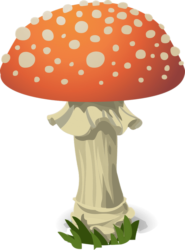 erfahren sie, wie sie toxische beziehungen erkennen und bewältigen können. entdecken sie anzeichen, auswirkungen und strategien zur bewältigung für ein gesünderes, glücklicheres leben.